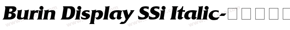 Burin Display SSi Italic字体转换